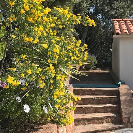 Rez De Chaussee De La Elisabeth-antheor, Saint-raphael Apartment *