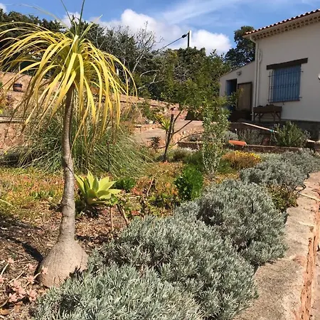 Apartment Rez De Chaussee De La Elisabeth-antheor, Saint-raphael