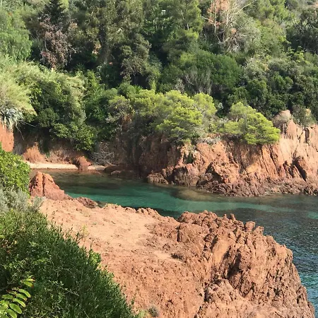 Rez De Chaussee De La Elisabeth-antheor, Saint-raphael *