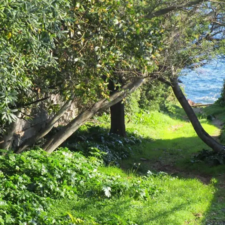 Rez De Chaussee De La Elisabeth-antheor, Saint-raphael Saint-Raphaël