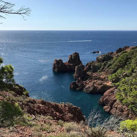 Rez De Chaussee De La Elisabeth-antheor, Saint-raphael